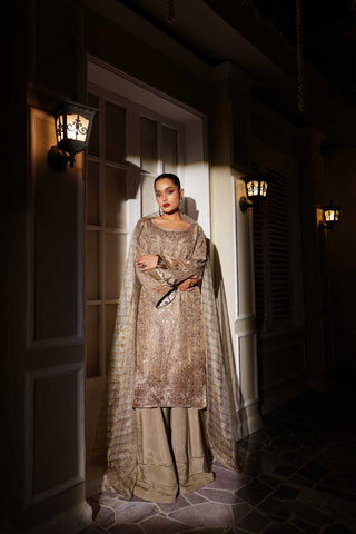 Embroidered Raw Silk Valvat