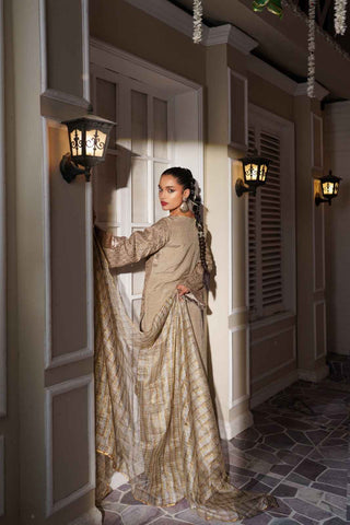 Embroidered Raw Silk Valvat