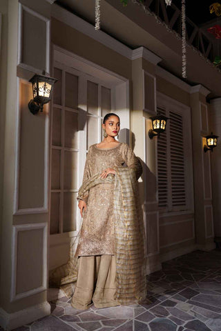 Embroidered Raw Silk Valvat