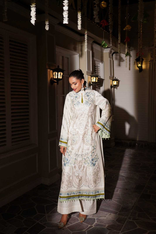 Embroidered Raw Silk Shalwar Kameez