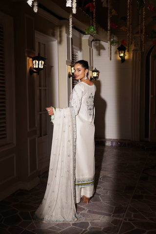 Embroidered Raw Silk Shalwar Kameez