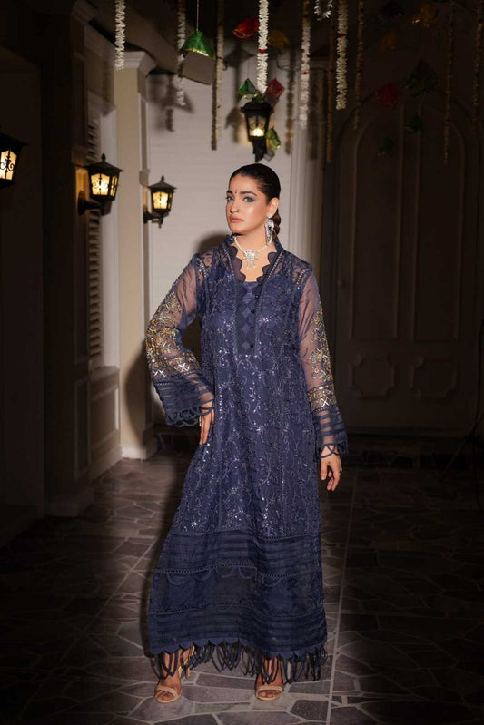 Embroidered Organza Long Shirt Suit