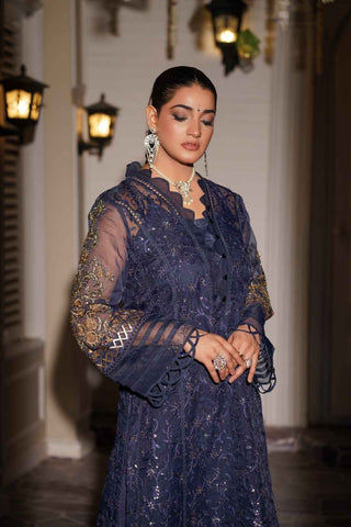 Embroidered Organza Long Shirt Suit