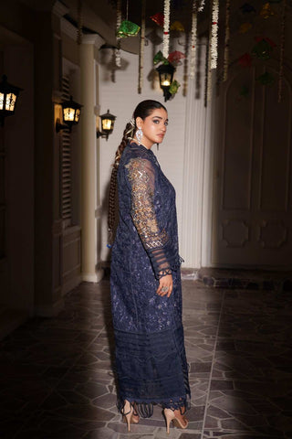 Embroidered Organza Long Shirt Suit