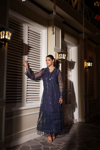 Embroidered Organza Long Shirt Suit